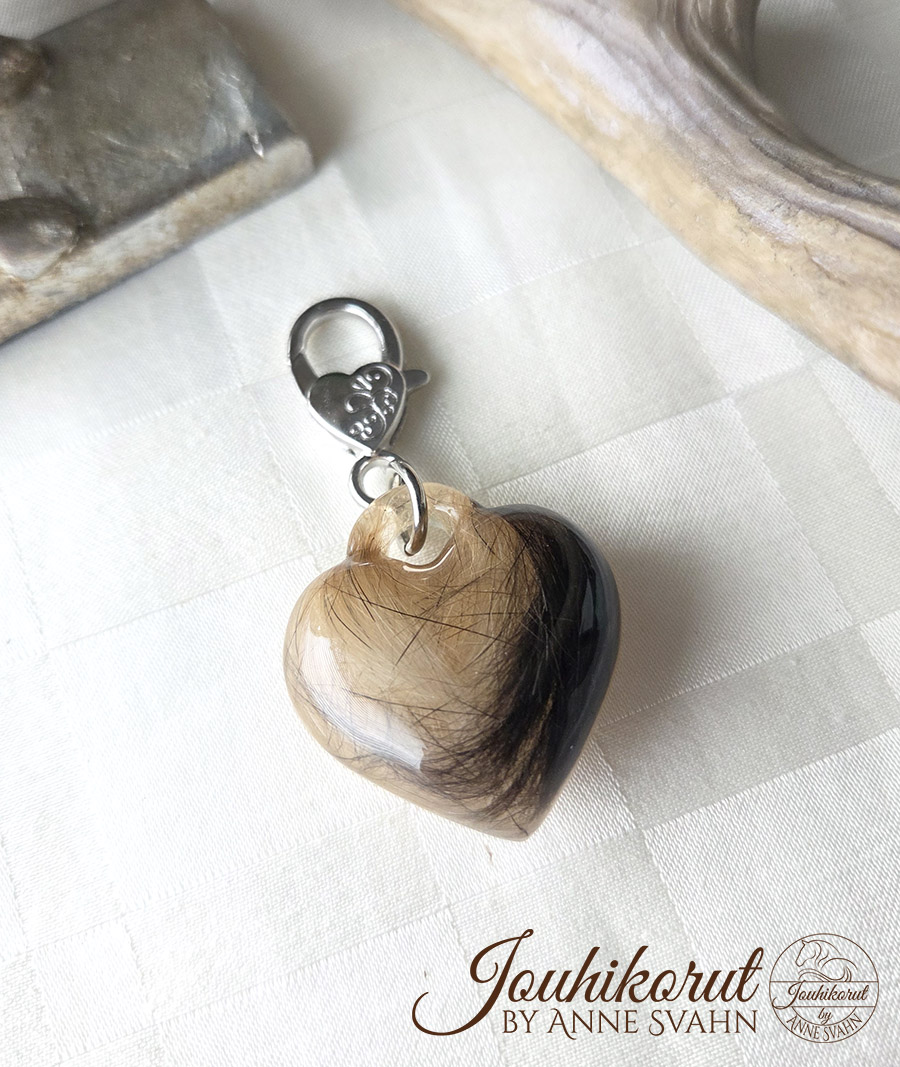 pullea-sydan-1lemmikki